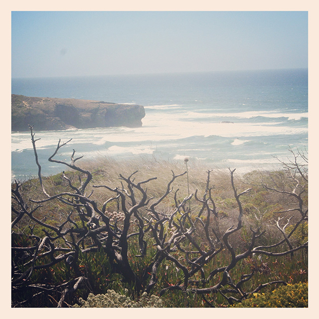 travel-2
