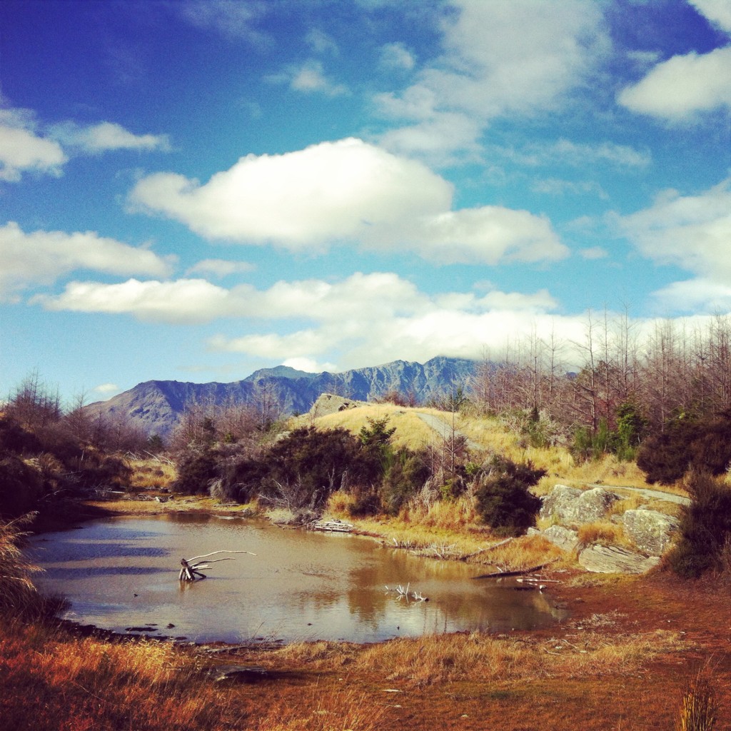 NZ