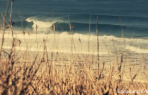 Ericeira Surf