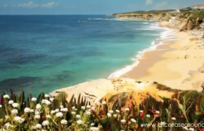 Ericeira Travel