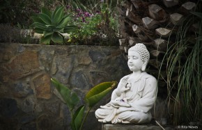Buddha in the garden