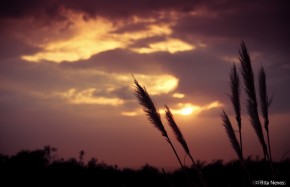 Sunset <3