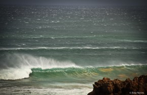 Too windy!